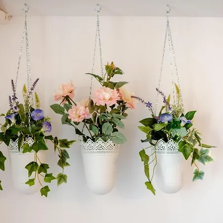 Summer Waves Mamaia Nord