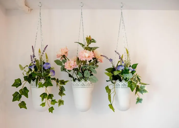 Summer Waves Mamaia Nord